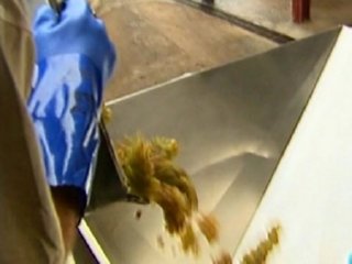LABORATORIO VINO (17)